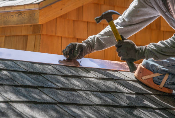 Best Roof Moss and Algae Removal  in Pleasant View, TN